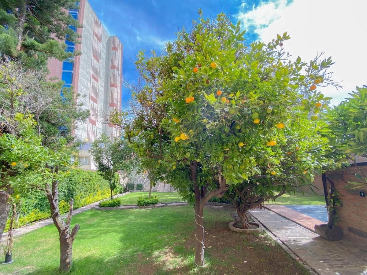 Azabu Hotel Collection Σαν Λουίς Ποτοσί Εξωτερικό φωτογραφία